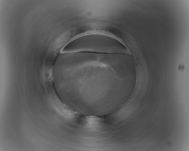 X0000111220336200907021341