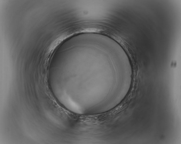 X0000111220337200907021340