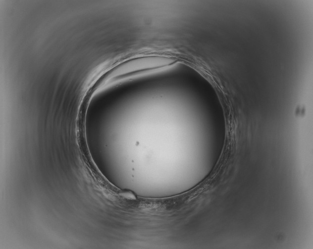 X0000111220340200907021340