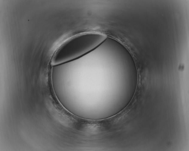 X0000111220344200907021340