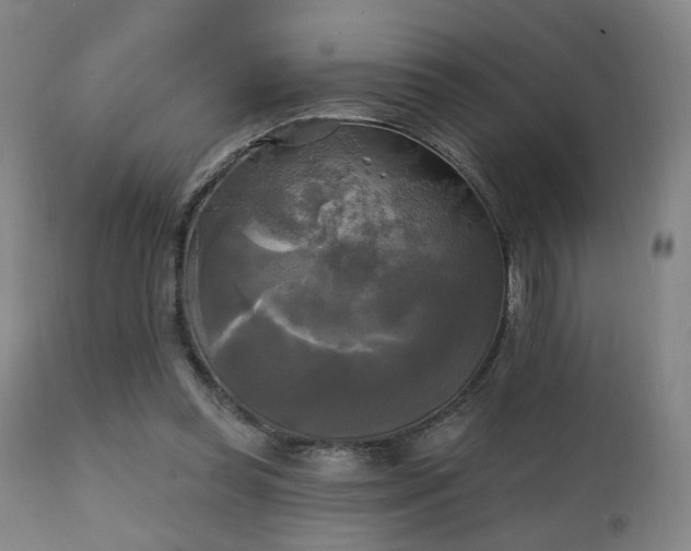 X0000111220349200907021340