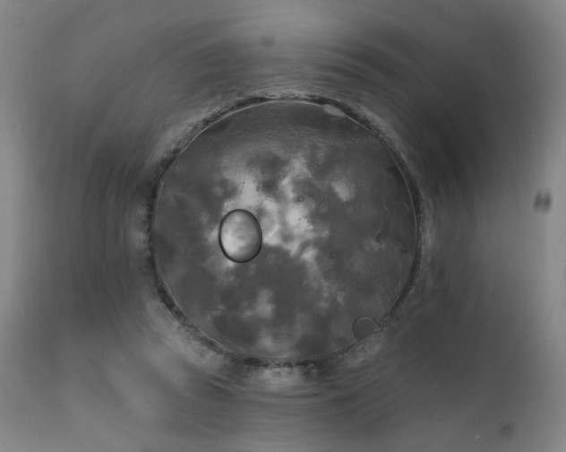 X0000111220353200907021340