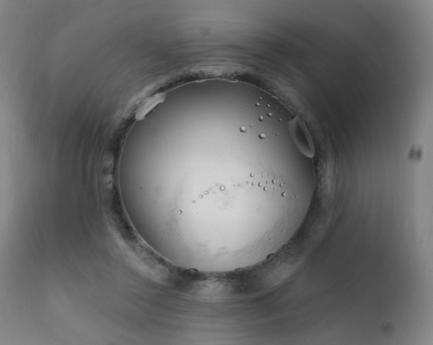 X0000111220356200907021340