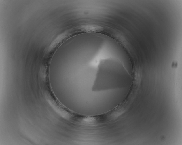 X0000111220357200907021341