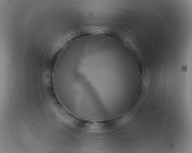 X0000111220359200907021341