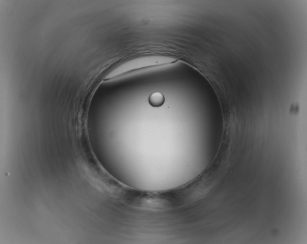 X0000111220360200907021341