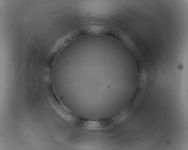 X0000111220361200907021341