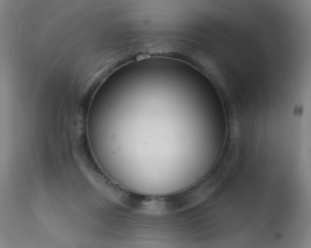 X0000111220362200907021341