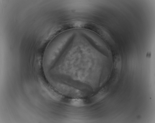 X0000111220363200907021341