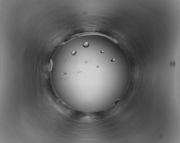 X0000111220364200907021341