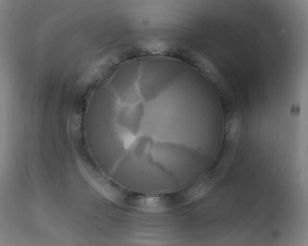 X0000111220365200907021341