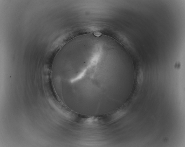 X0000111220366200907021341