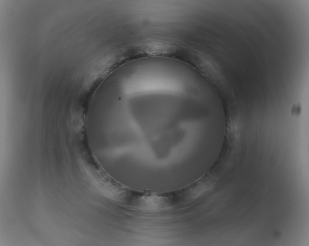 X0000111220367200907021341