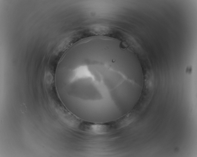 X0000111220371200907021341