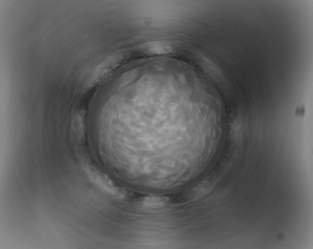X0000111220373200907021341