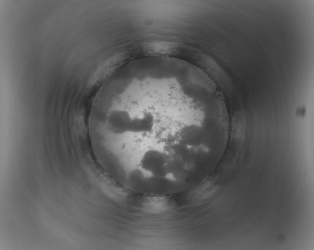 X0000111220377200907021341
