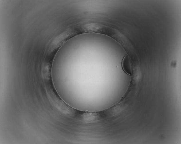 X0000111220378200907021341