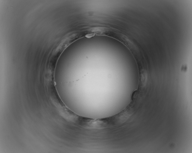 X0000111220379200907021341