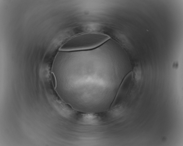 X0000111220380200907021341