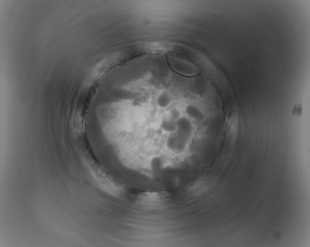 X0000111220381200907021341
