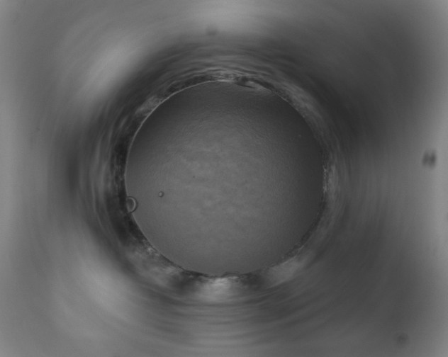 X0000111220382200907021341