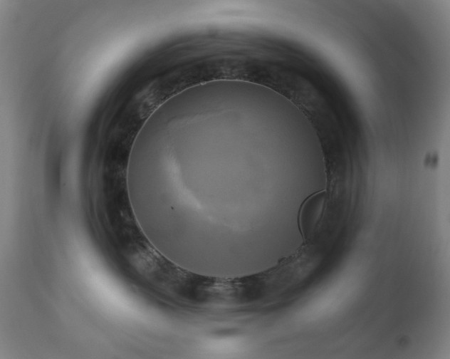 X0000111220383200907021341