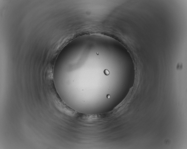 X0000111220384200907021341