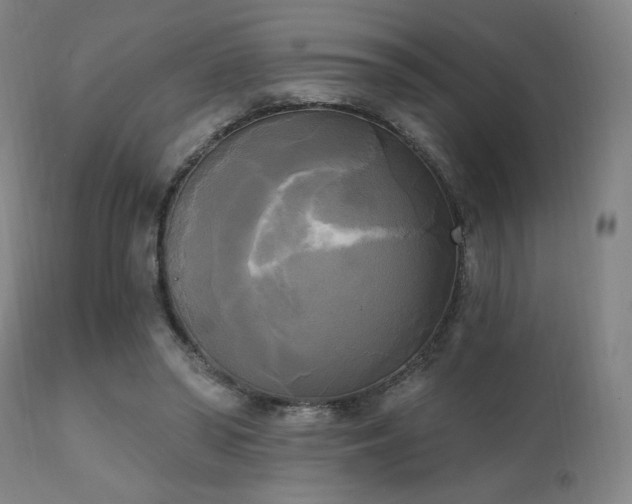 X0000111220398200907021340