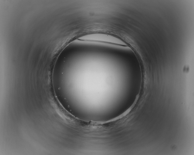 X0000111220401200907021340