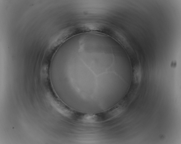 X0000111220410200907021340