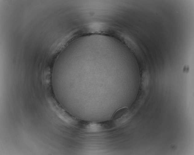 X0000111220413200907021340