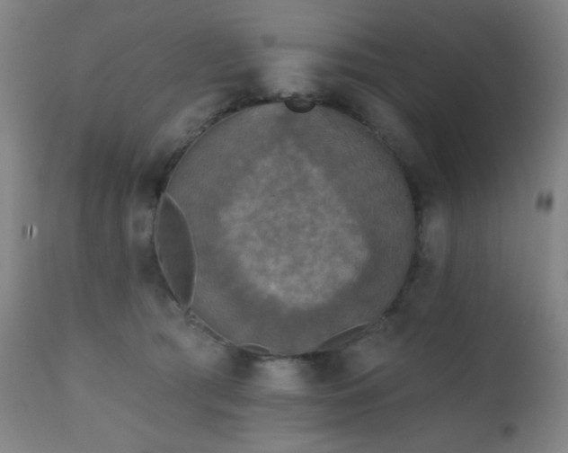 X0000111220417200907021340