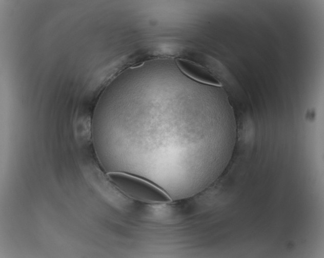 X0000111220425200907021339