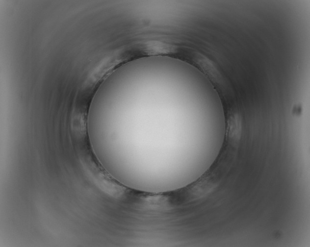X0000111220426200907021339
