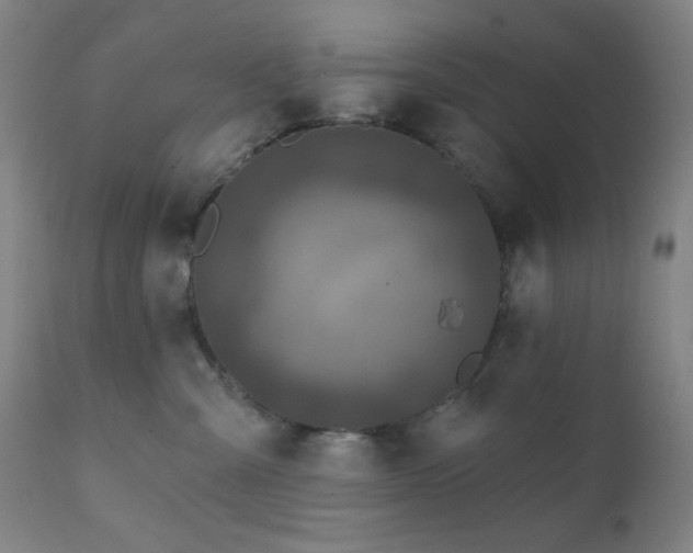 X0000111220427200907021339