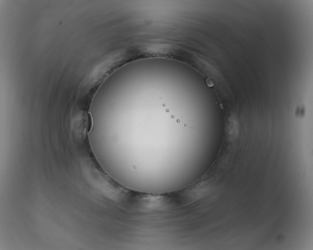 X0000111220428200907021339