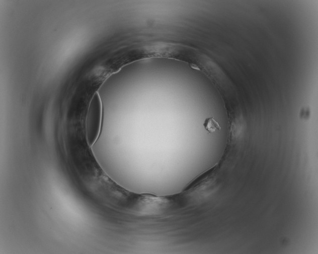 X0000111220429200907021339