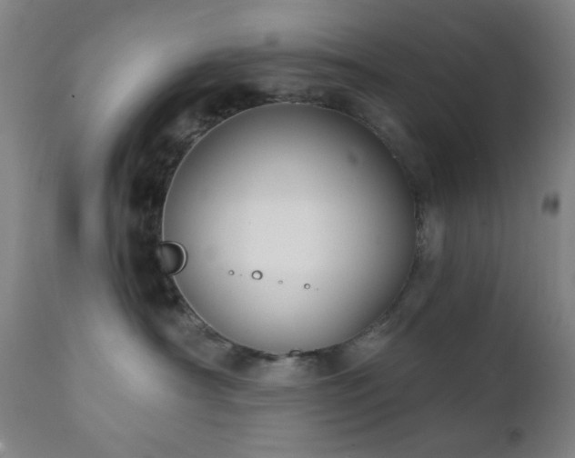 X0000111220430200907021339