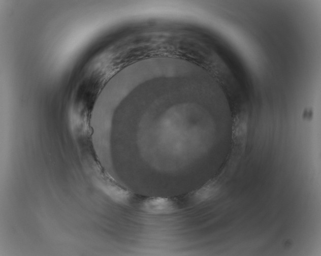 X0000111220431200907021339