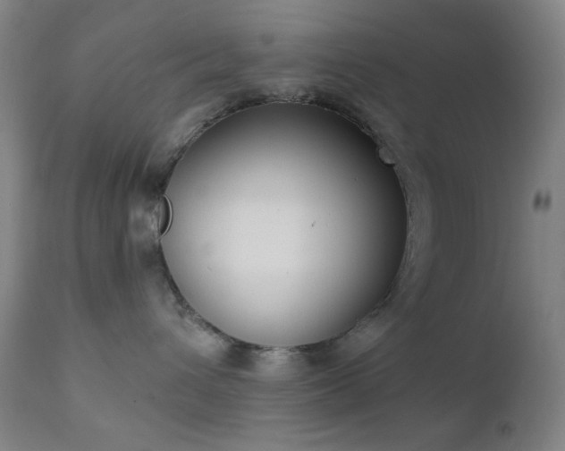 X0000111220432200907021339