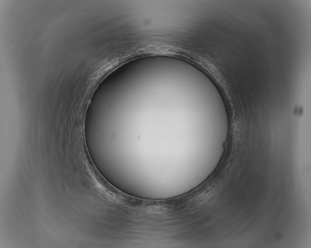 X0000111220433200907021339