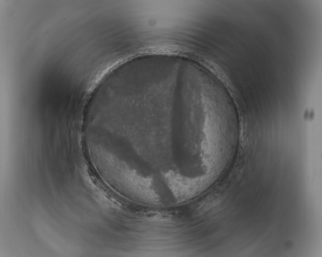 X0000111220434200907021339