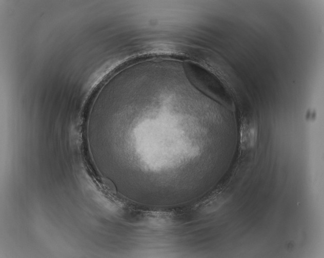 X0000111220436200907021339