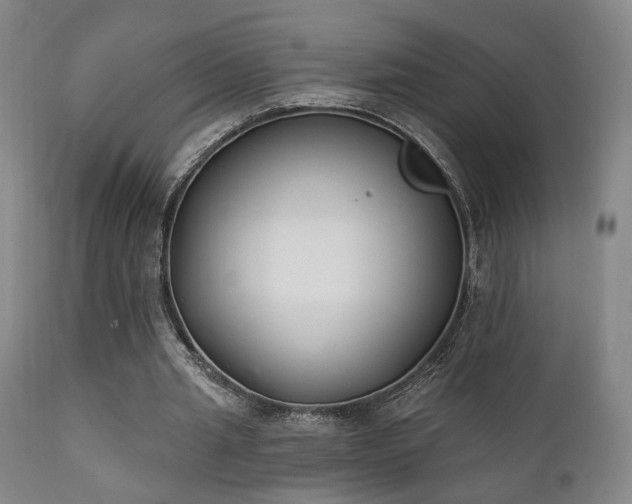 X0000111220437200907021339