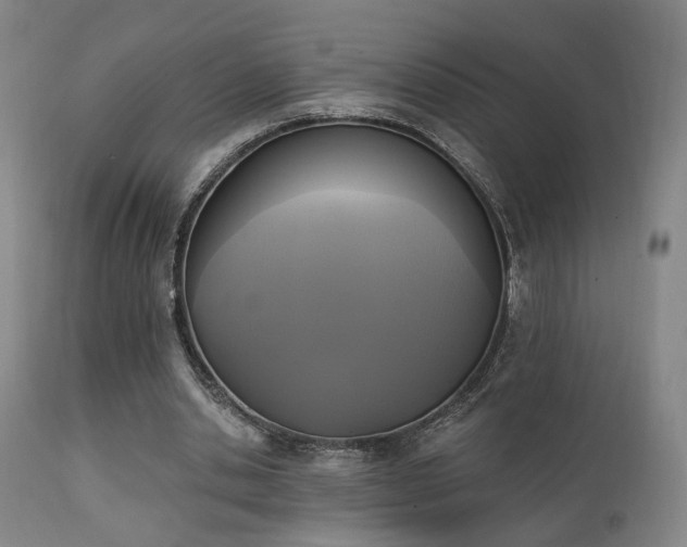 X0000111220438200907021339