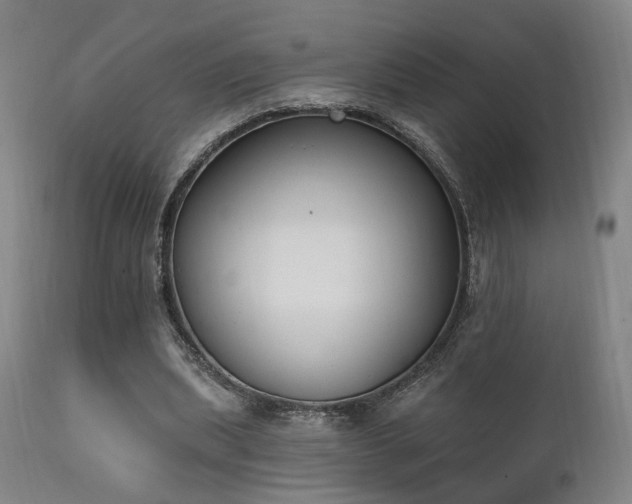 X0000111220439200907021339