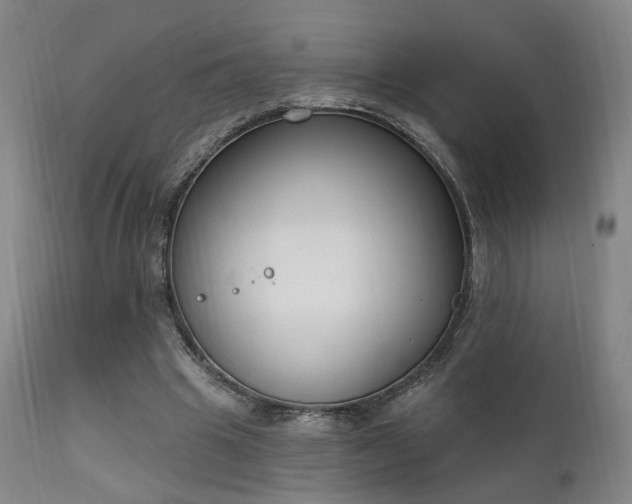 X0000111220441200907021339