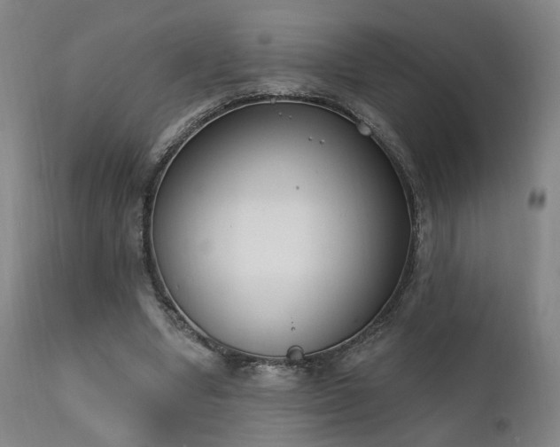 X0000111220442200907021339