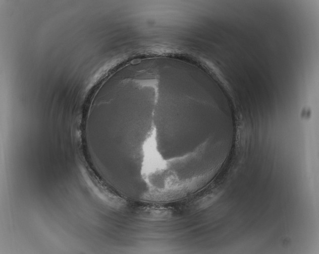 X0000111220443200907021339