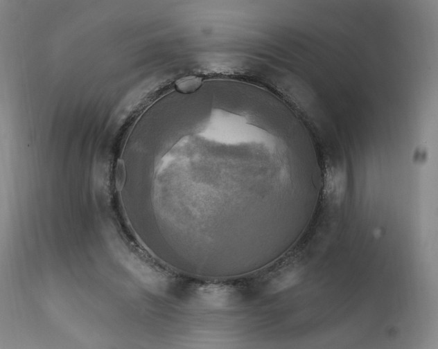 X0000111220444200907021339